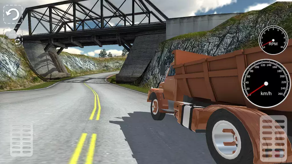Truck Simulator Grand Scania Ekran Görüntüsü 3