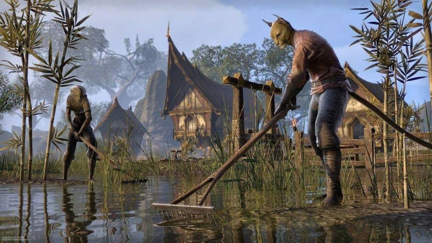 游戏玩家花了100,000美元来担任Elder Scrolls VI角色