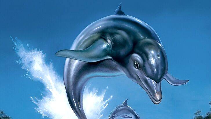 ECCO မှ Dolphin Trademark Leviven ကောလာဟလများ 