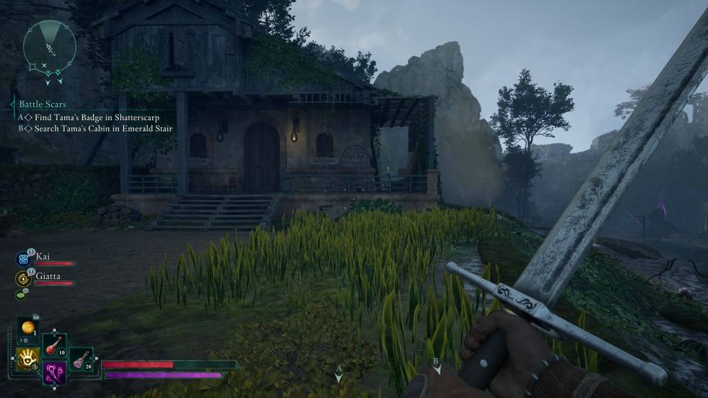Image of the game world