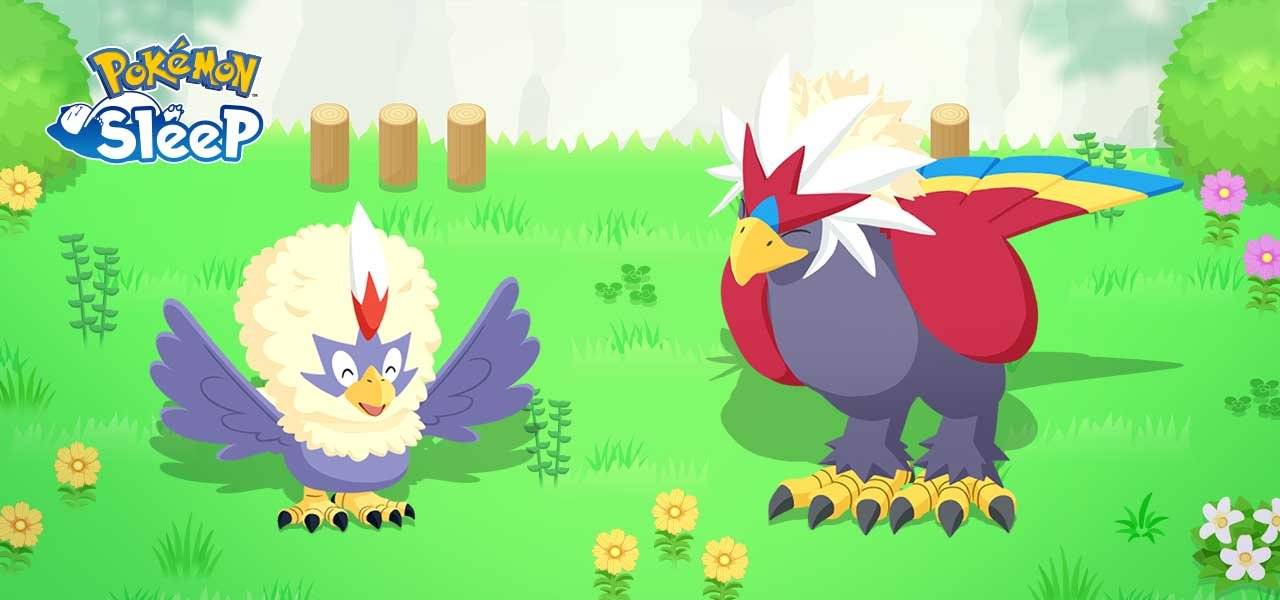 Pokemon Sleep accueille Rufflet et Braviary ce mois de janvier.