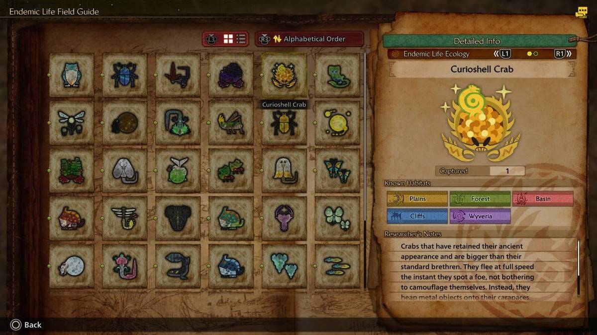 „Przewodnik po zarabianiu nagrody A High w Monster Hunter Wilds”