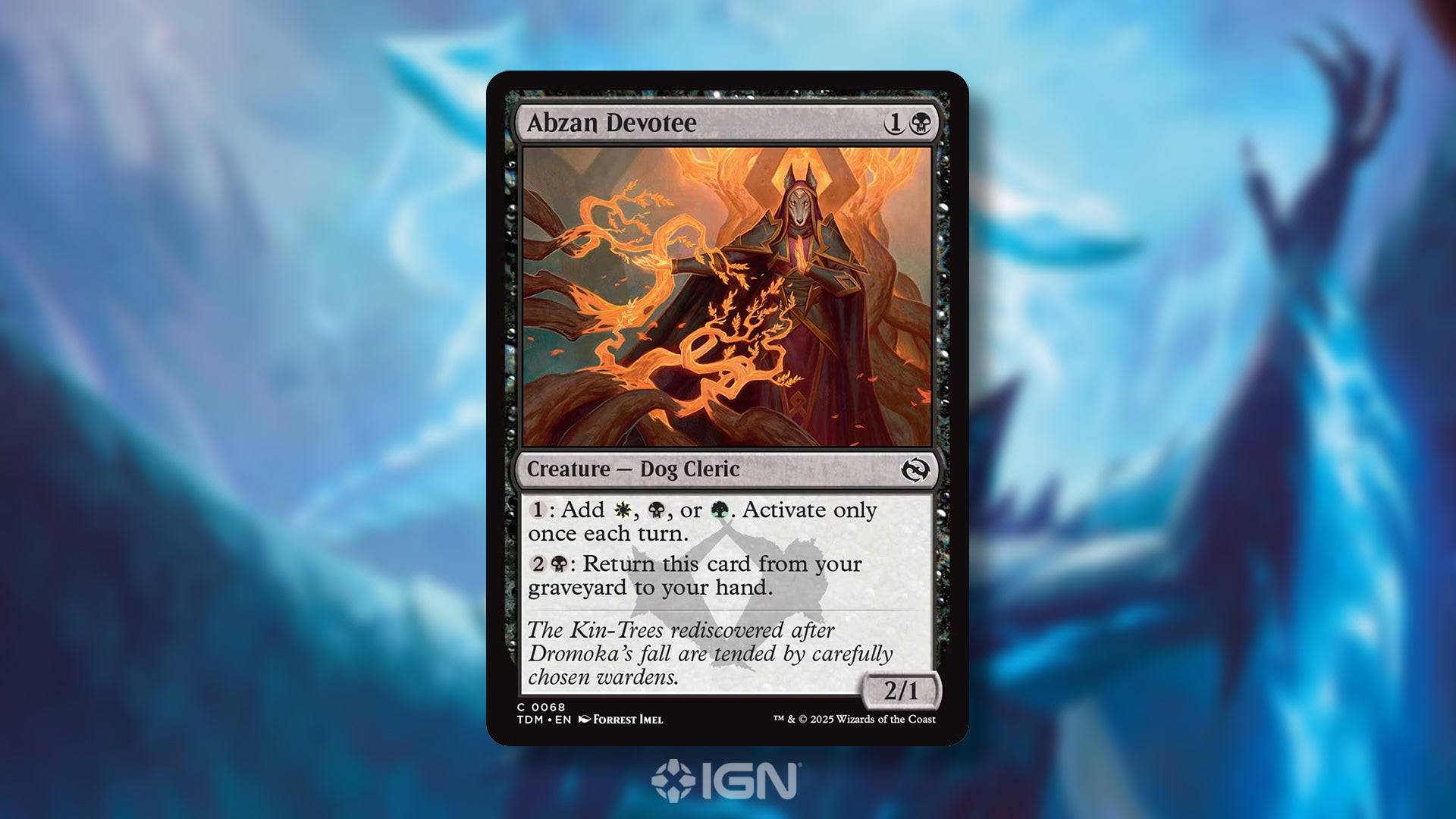 Magic: The Gathering Tarkir: Dragonstorm card preview