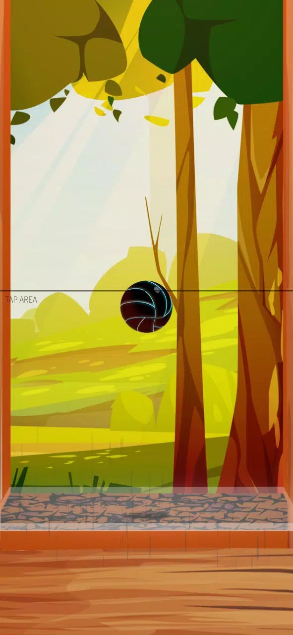 Dirs Dirs Ball Captura de pantalla 1