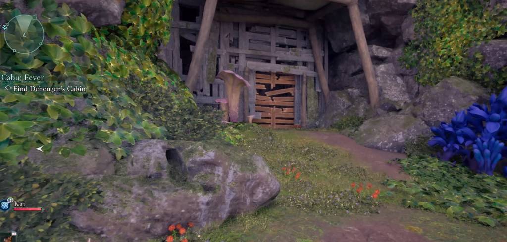 A screen from Avowed showing a boarded-up area.