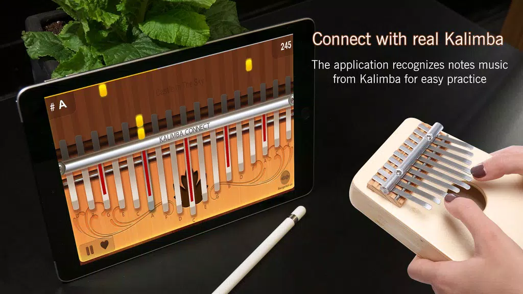 Kalimba Connect应用截图第0张