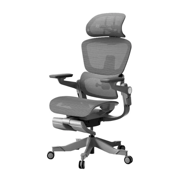 Hinomi H1 Pro Ergonomic Chair